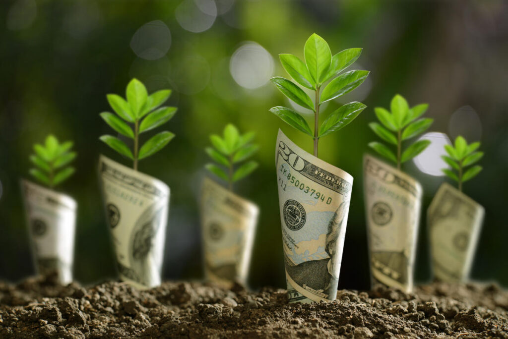 plants growing on money bills shaped like pots