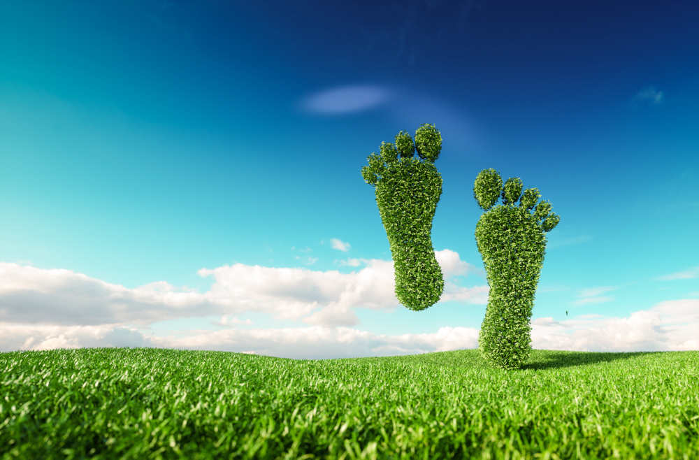 a patch of grass cut into the shape of foot soles