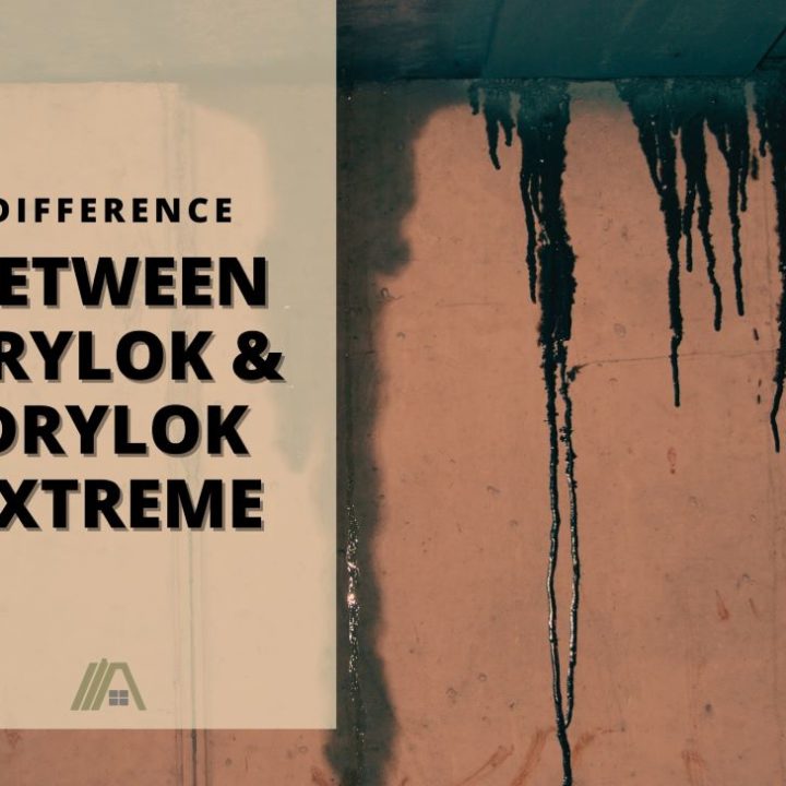 Difference Between Drylok and Drylok Extreme – HVAC-BUZZ