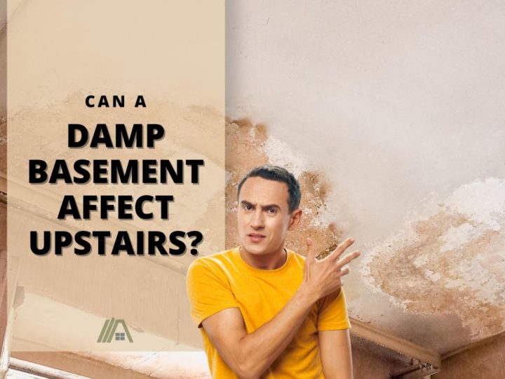Man disgusted at mold and mildew growing on a ceiling; Can a Damp Basement Affect Upstairs (Act before it’s too late)?