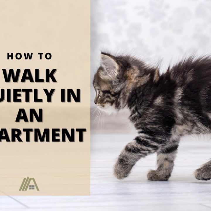How to Walk Quietly in an Apartment (Your Neighbors will thank you) – HVAC-BUZZ