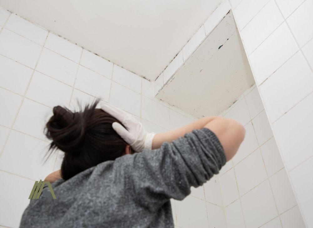 mold growth shower