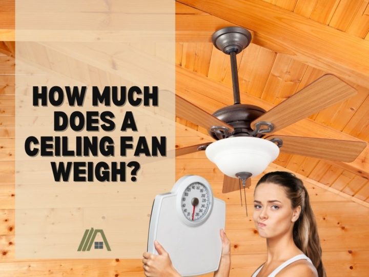How Much Does a Ceiling Fan Weigh