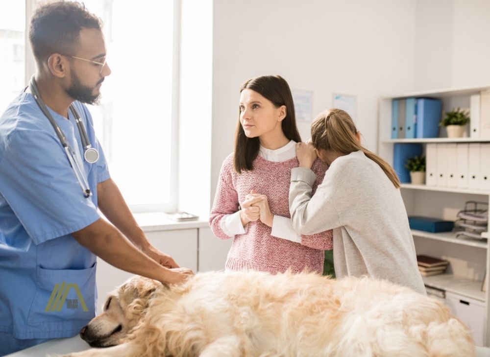 sick dog with sad owners talking to a veterinarian