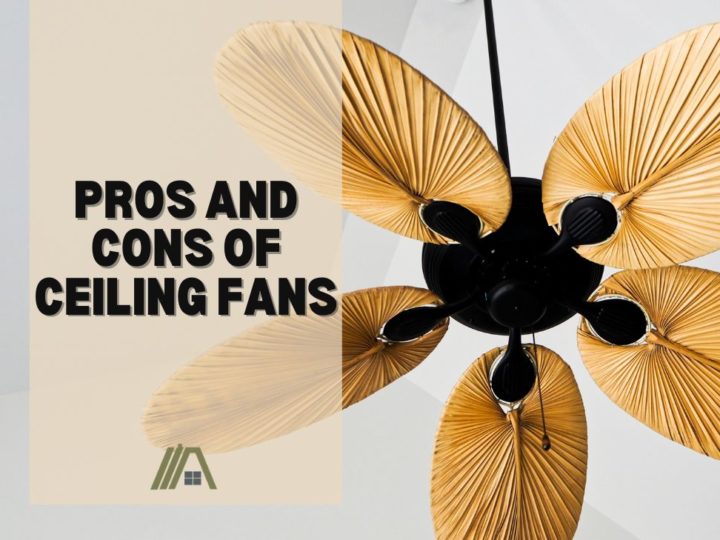 Pros and Cons of Ceiling Fans