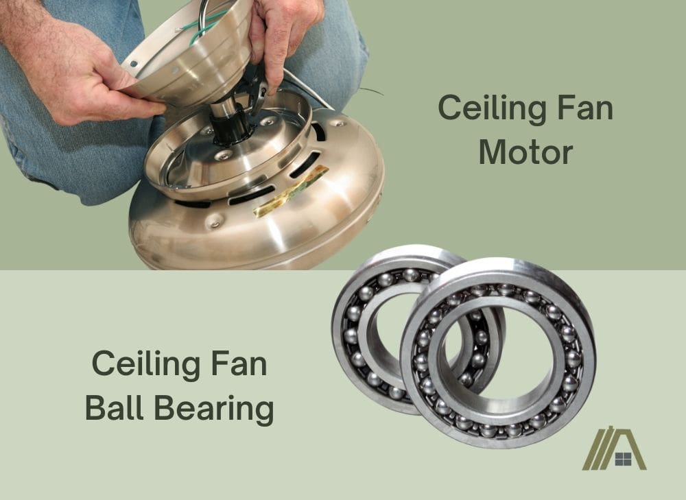 Ceiling fan motor and ceiling fan ball bearing