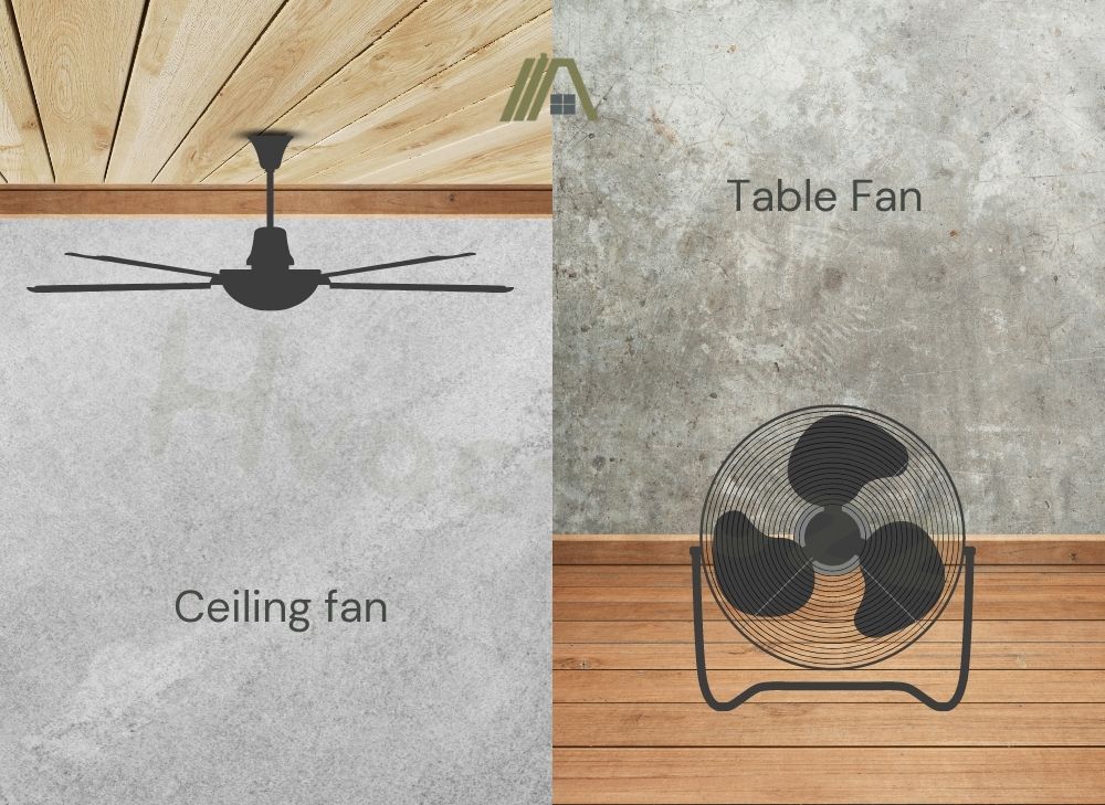 Ceiling fan or Table Fan