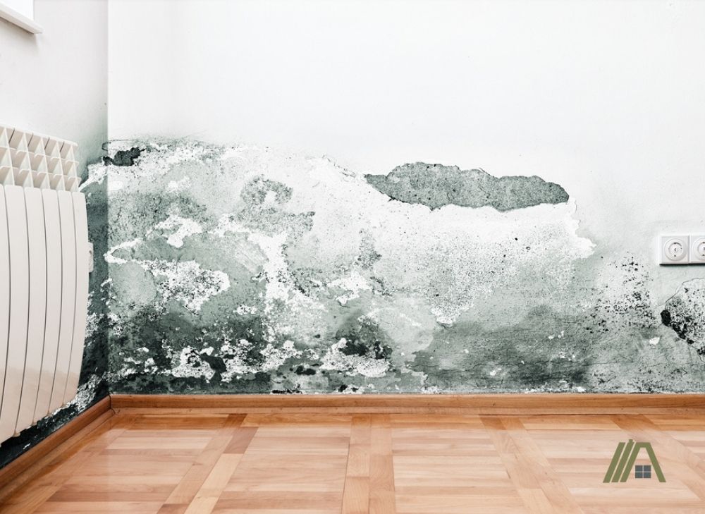Mold in white walls
