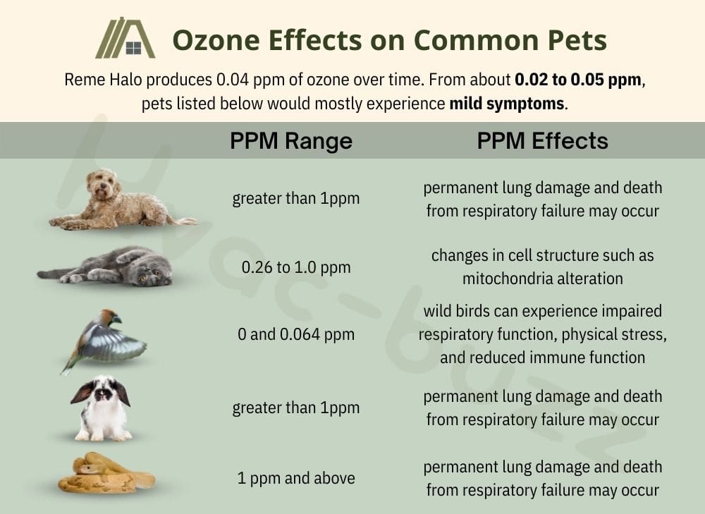 ozone effects on common pets such as dog, cat, birds, rabbit and snakes, reme halo's ozone effects on common pets