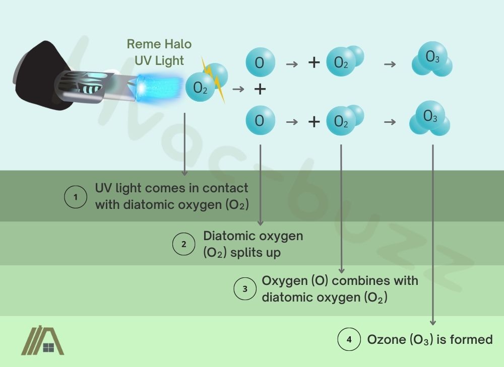 Illustration on how ozone is formed due to Reme Halo's UV light