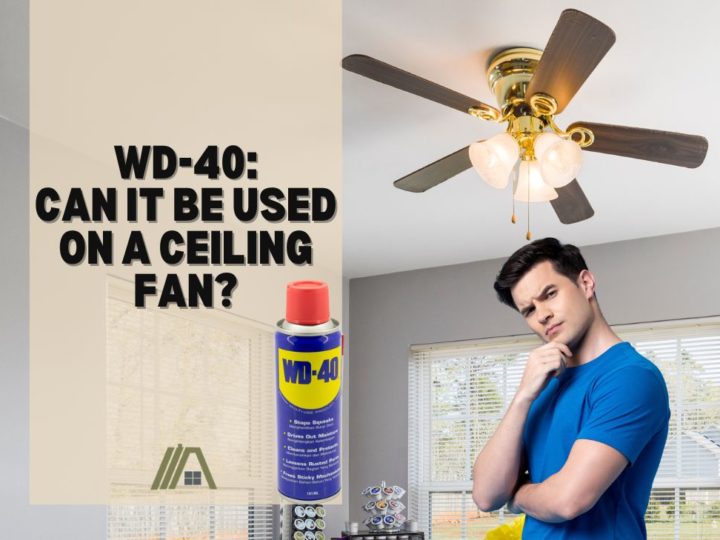WD-40_ Can It Be Used on a Ceiling Fan
