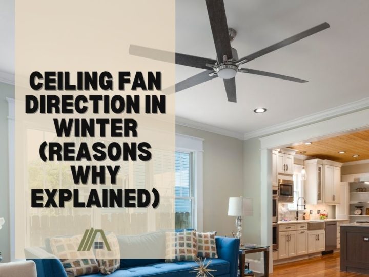 Ceiling Fan Direction In Winter (Reasons why explained)