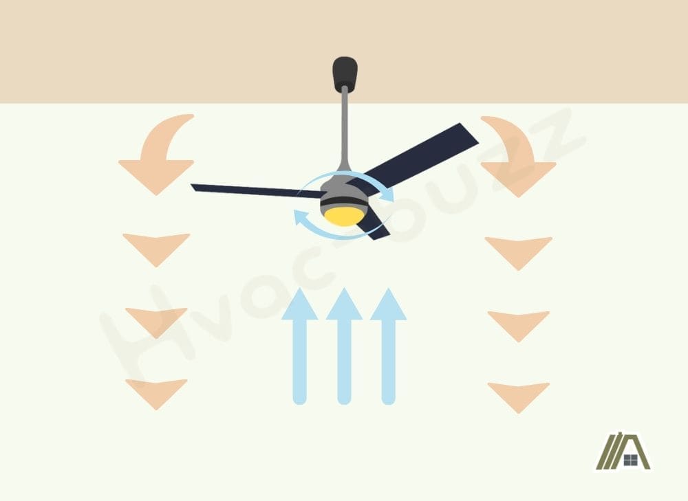 Ceiling fan rotating clockwise with air blowing upward during winter