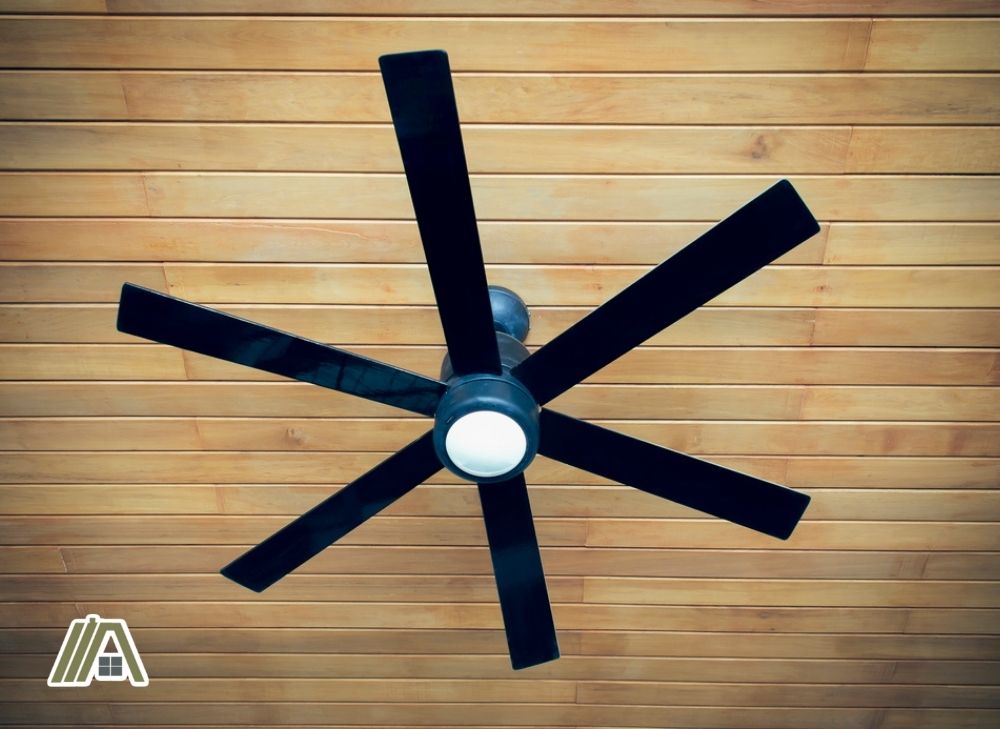 Six-bladed black modern ceiling fan