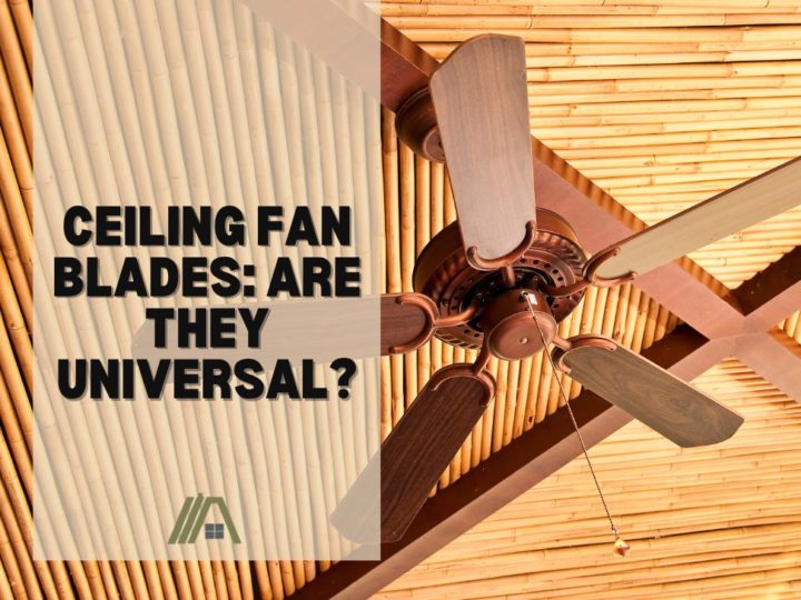 Ceiling Fan Blades_ Are They Universal_