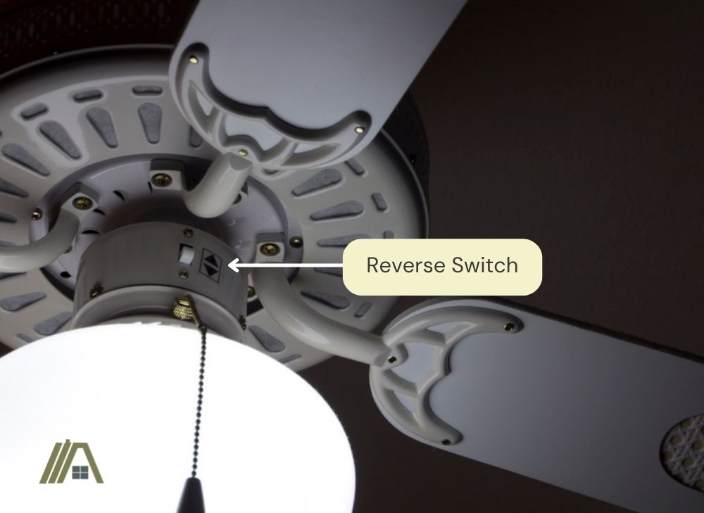 A white ceiling fan with reverse switch