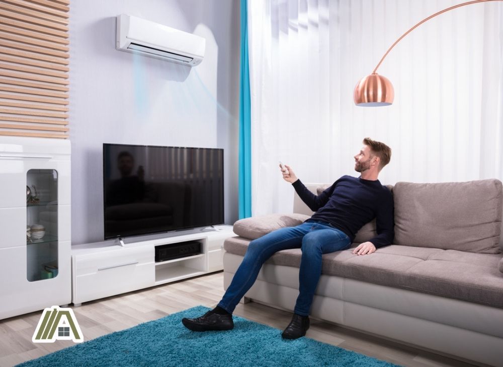 Man holding the remote of the air-conditioning unit in the living room while sitting on the sofa