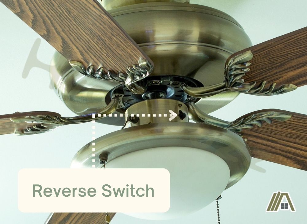 Reverse switch in a ceiling fan with light