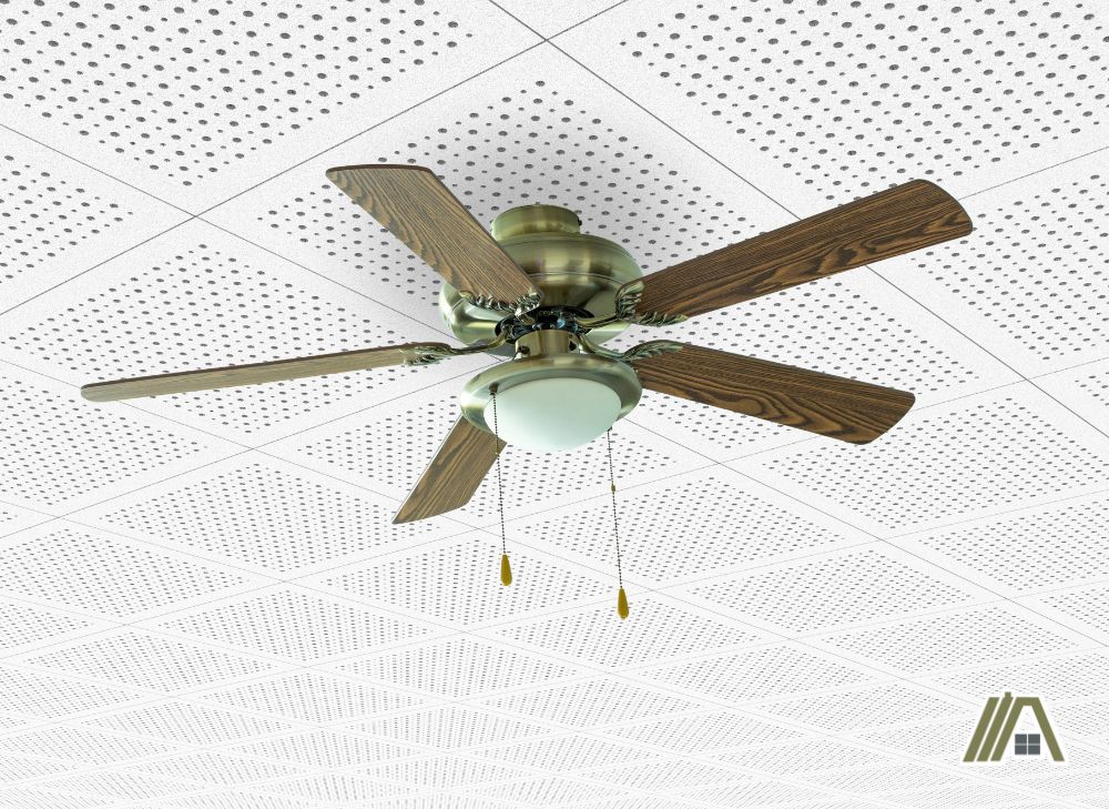Wooden ceiling Fan on a white drop ceiling