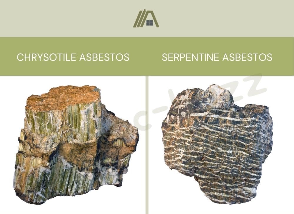 Chrysotile asbestos versus serpentine asbestos