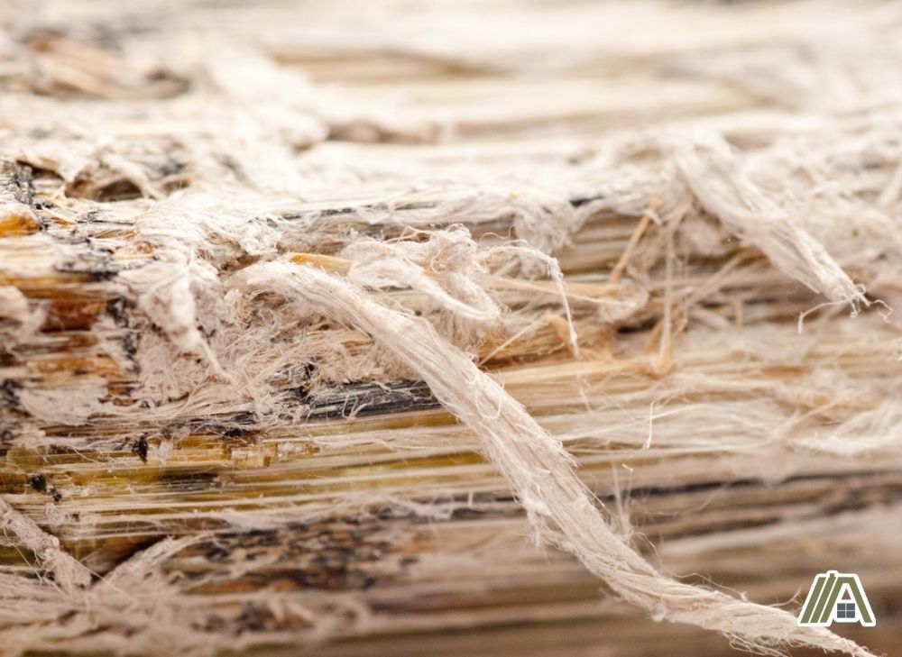 Close up of Chrysotile asbestos fibers