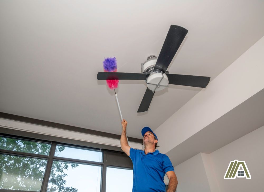 Man dusting or cleaning a dirty four-bladed black ceiling fan