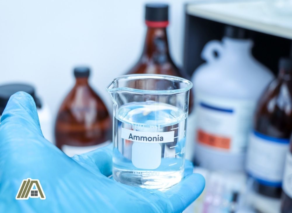 Ammonia liquid in a beaker inside the laboratory