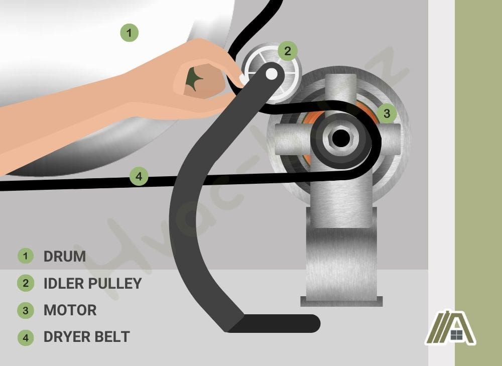 Parts of the dryer: drum, idler pulley, motor and dryer belt