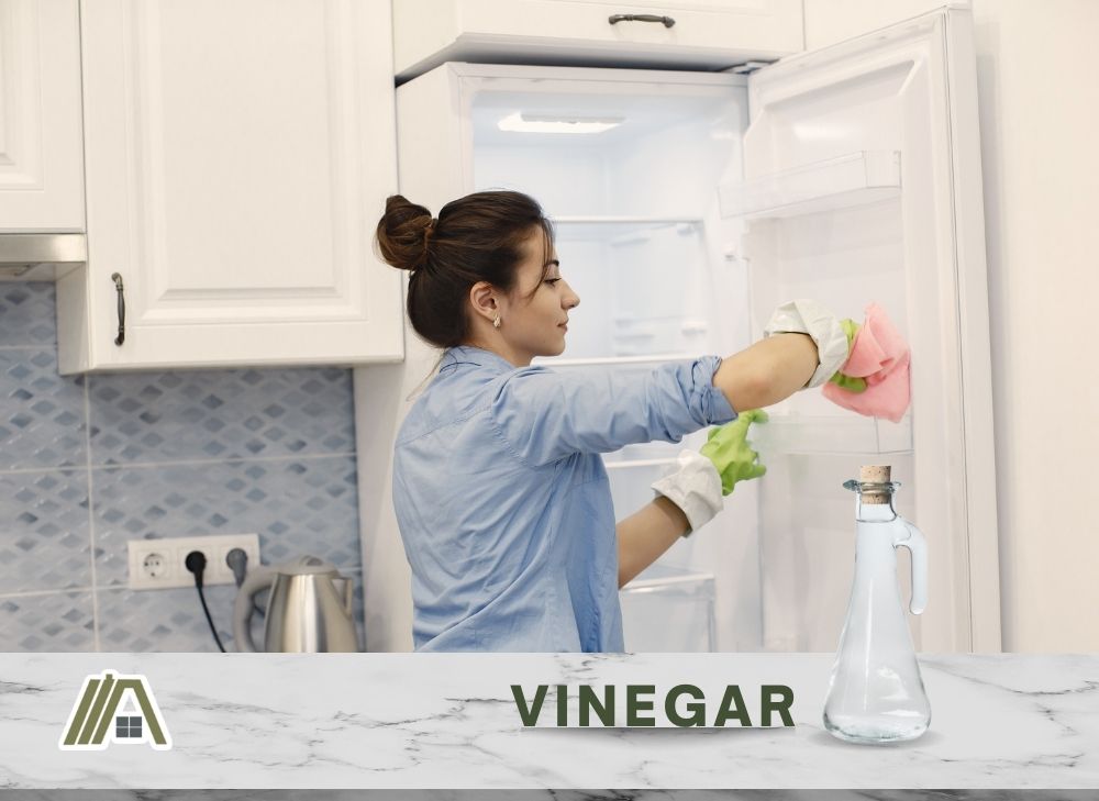 Woman cleaning the white fridge with vinegar