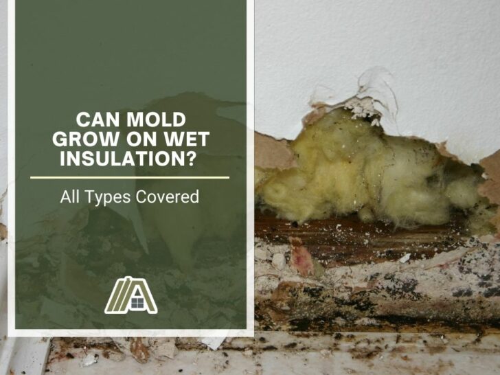 Can Mold Grow on Wet Insulation_ (All Types Covered)