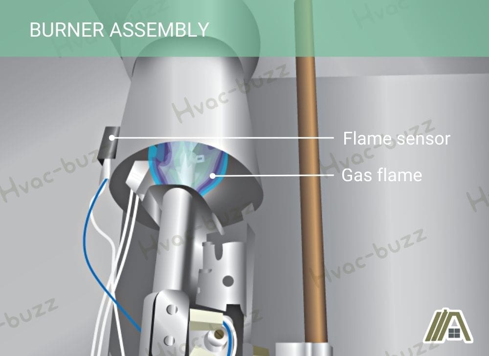 Illustration of gas flame and flame sensor in the burner assembly.jpg