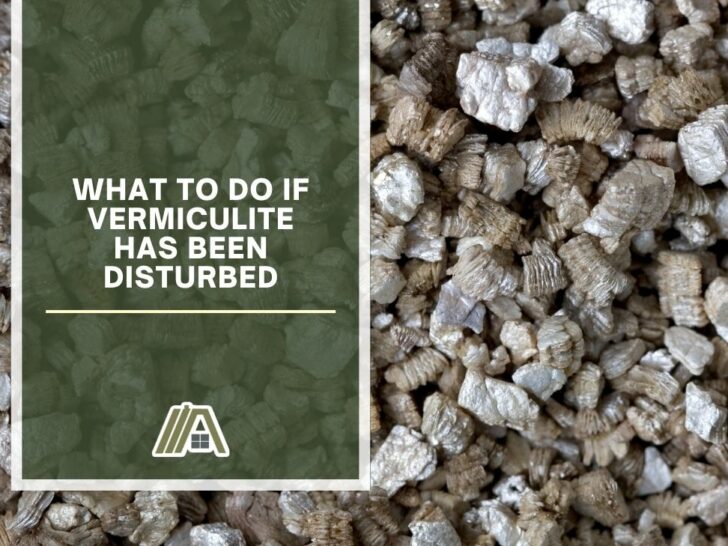 What to Do if Vermiculite Has Been Disturbed
